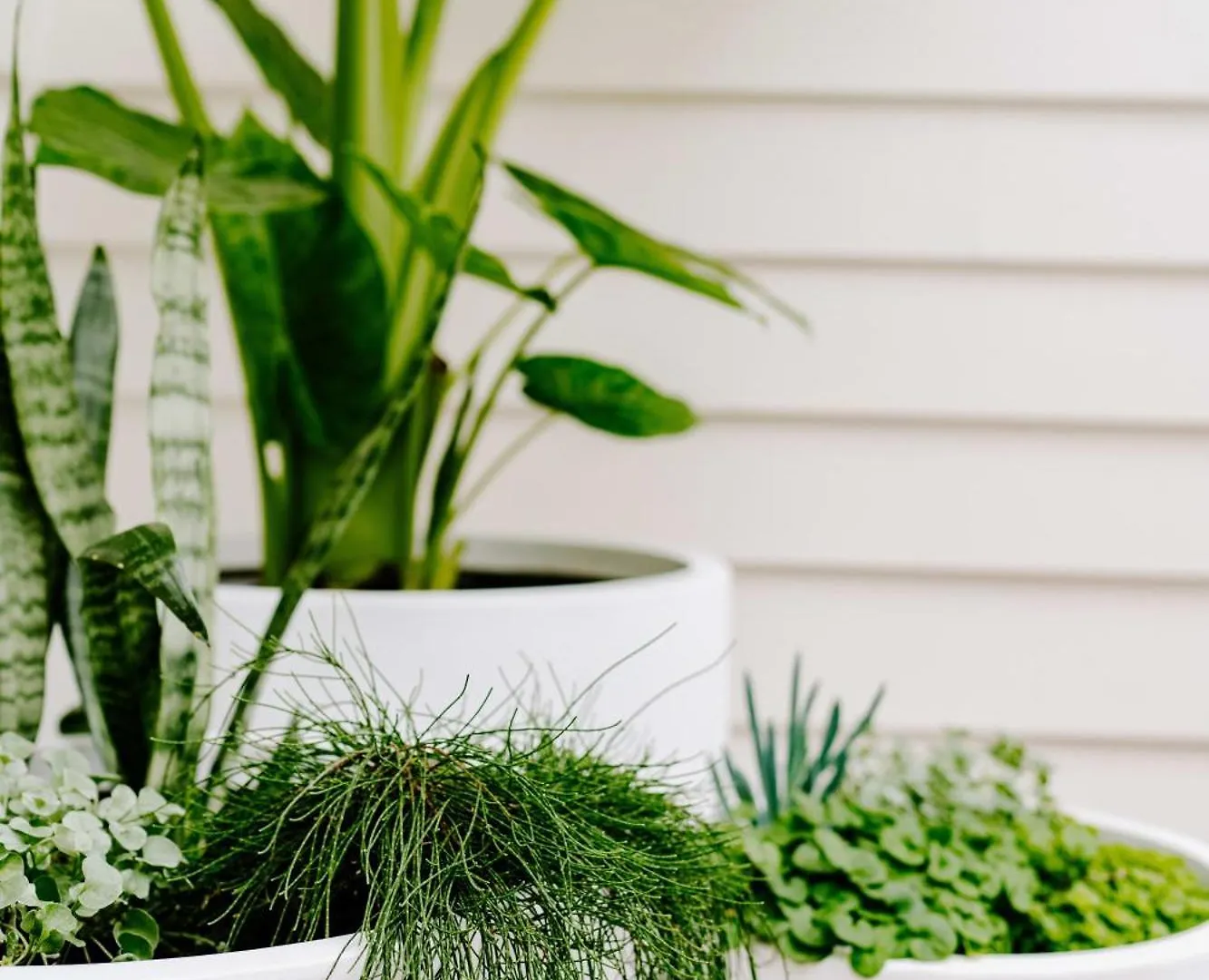 Coastal Chic Poolside Villa- Pet Friendly Mooloolaba